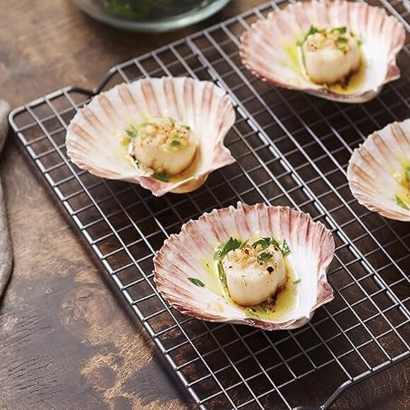 NWOT Set of 4 Nantucket Seafood Natural Baking Sea Shells 4.5" - 5" - Picture 2 of 15